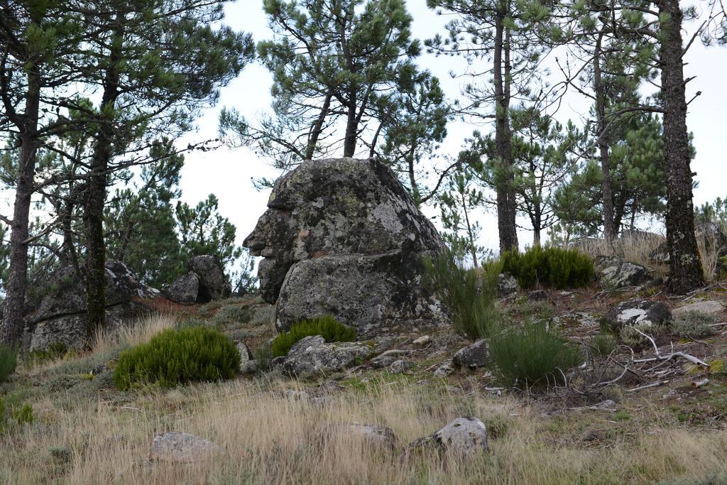 Terra Mista Alojamento Local Gouveia  Dış mekan fotoğraf